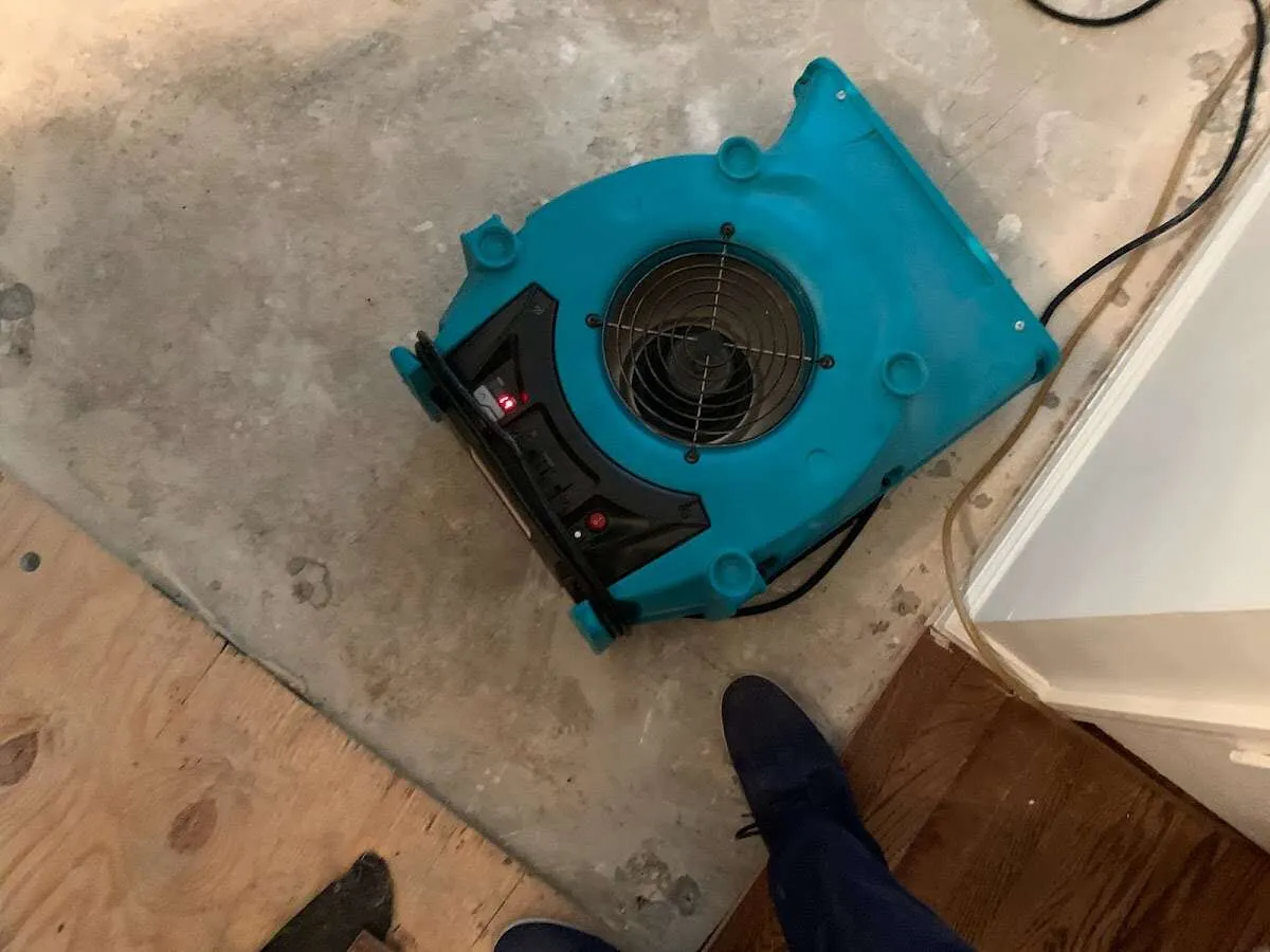 Air mover drying subfloor during Leak Detection & Repair in Lake Grove